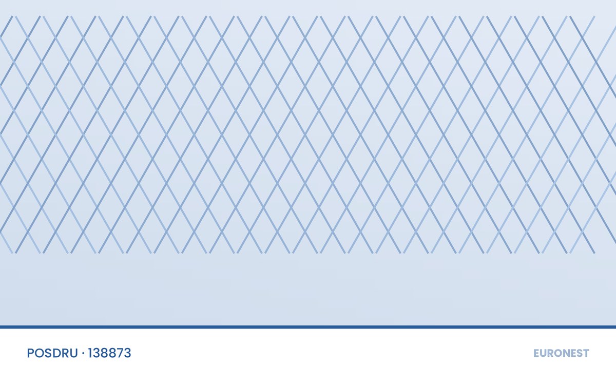 POSDRU 2007–2013 – Programe de studii flexibile și competitive pentru IT&C în Regiunea de Dezvoltare Nord-Est